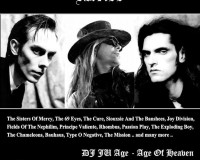 22.06.2013: From Dusk Till Dawn – Darkflower Leipzig