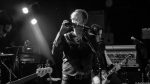 Peter Murphy