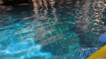 An der Blue Grotto