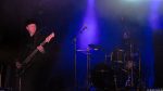 The Bellwether Syndicate