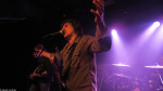 Chameleons Vox