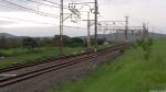 Bei Camperdown - nix los...