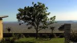 Blick vom Nelson Mandela Museum, Qunu