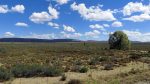 In der Great Karoo