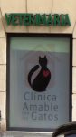 Katzenklinik
