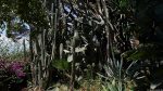 Giardini della Villa Comunale, Taormina