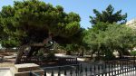 Hastings Gardens
