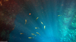 Unter Wasser am Blue Hole