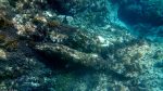 Unter Wasser am Blue Hole
