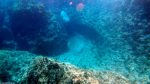 Unter Wasser am Blue Hole