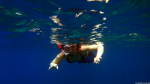 Unter Wasser in Paradise Bay