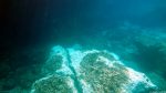Unter Wasser in Paradise Bay