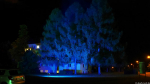 Lichtinstallation