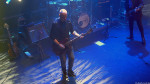 Chameleons Vox