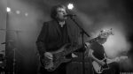 Chameleons Vox