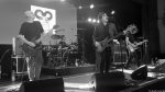 Chameleons Vox
