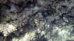 Schnorcheln am Blue Hole / Gozo