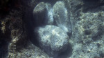 Schnorcheln am Blue Hole / Gozo