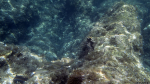 Schnorcheln am Blue Hole / Gozo