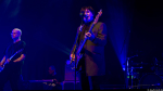 Chameleons Vox