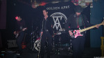 Golden Apes