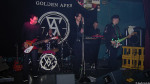 Golden Apes