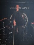 Golden Apes