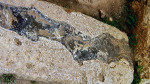 Mnajdra