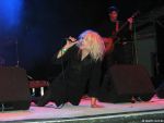 Gitane Demone