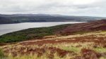 Struie Hill Viewpoint