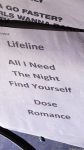 Setlist Panda Cubs