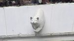 Katzenskulptur