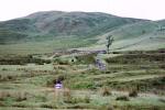 Abzweig ins Nant-y-Maen, Dyfed/Powys