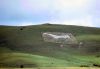 Alton Barnes White Horse