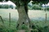 am West Kennett Long Barrow