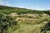 Ty Mawr Hut Circles bei Holyhead, Ynys Môn