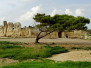 10.-17.11.2003: Urlaub auf Malta