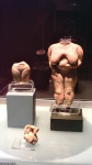 National Museum of Archaeology, Valletta