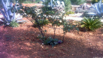 Hotelgarten