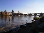 Karlsbrücke