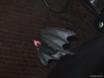 Fledermaus