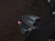 Fledermaus