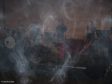 Deutsch & Seltsam im Nebel