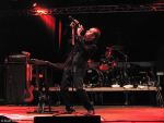 Peter Murphy