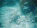 Unter Wasser