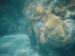 Unter Wasser