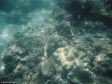Unter Wasser