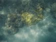 Unter Wasser