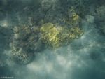 Unter Wasser
