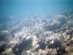Unter Wasser